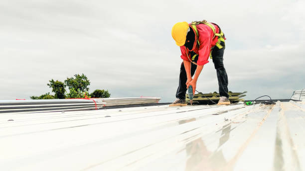 Best Steel Roofing  in Richland, WA